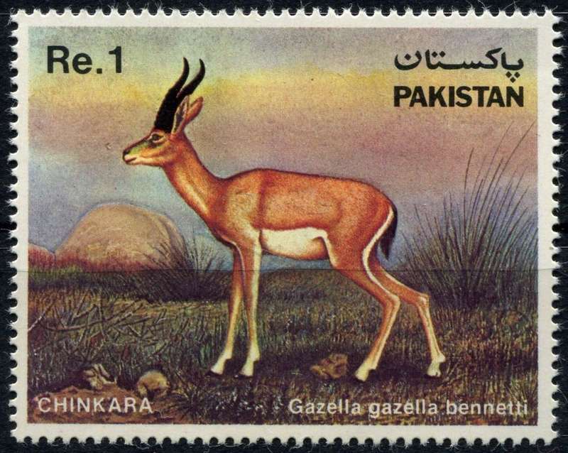 Pakistan - Animals - 1983 - MNH