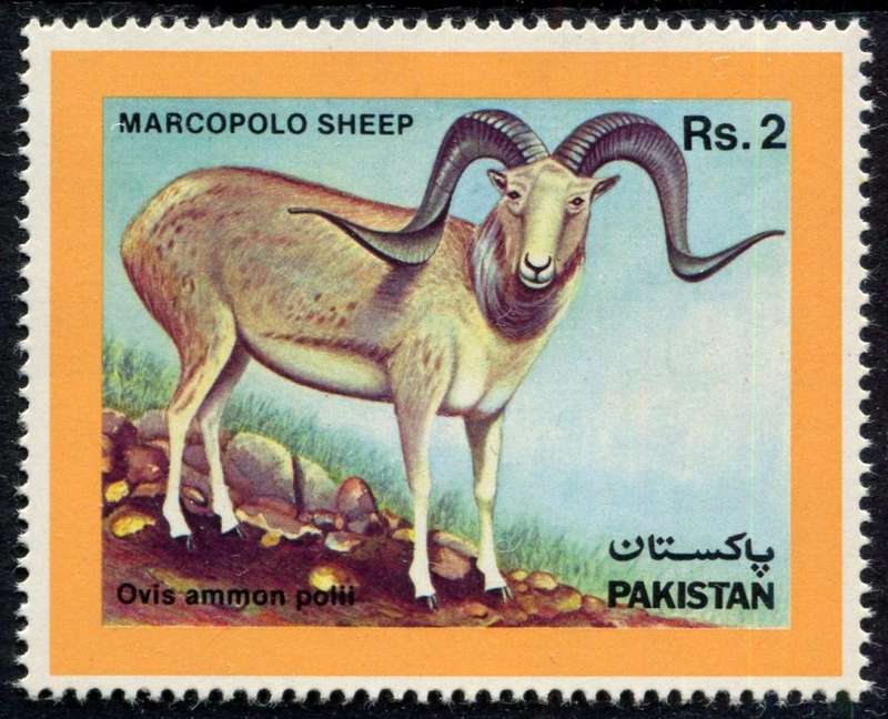 Pakistan - Animals - 1986 - MNH