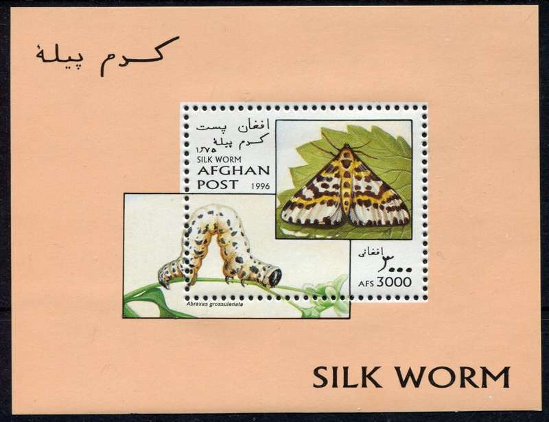 Afganistan - Miniature Sheet - Moths - 1996 - MNH