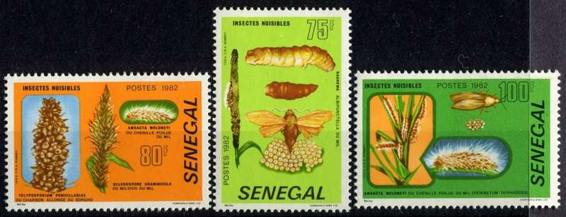Senegal - Insects - 1982 - MNH