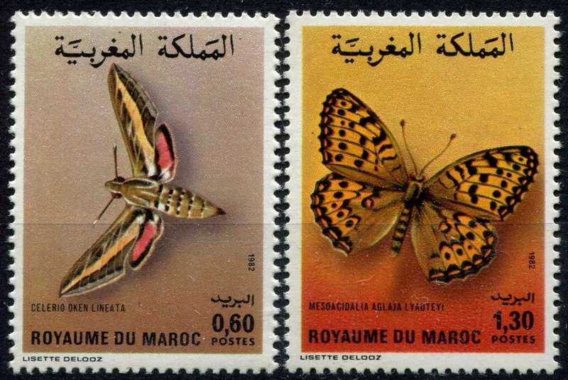 Morocco - Butterflies/Moths - 1982 - MNH