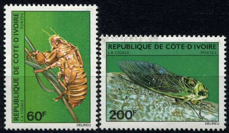 Ivory Coast - Insects - 1980 - MNH