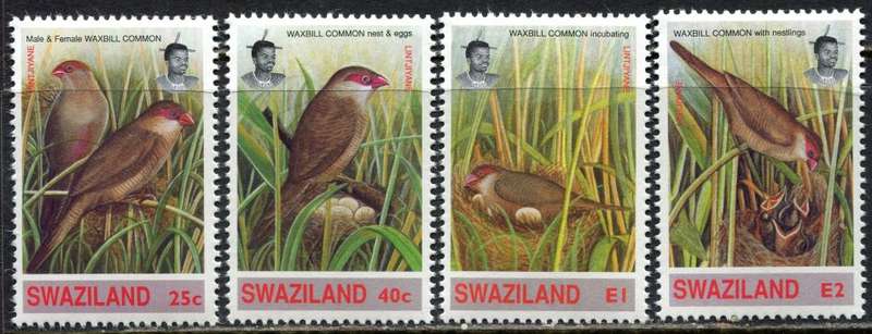 Swaziland - Set of 4 - Birds - 1993 - MNH