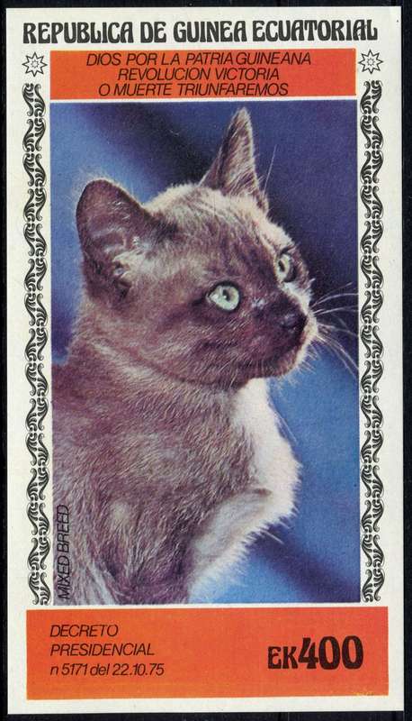 Equatorial Guinea - Miniature Sheet - Cats - MNH