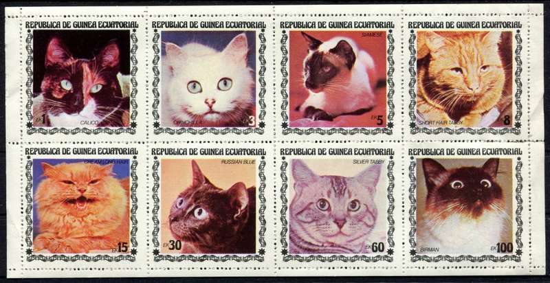 Equatorial Guinea - Miniature Sheet - Cats - MNH - Some Separation/Creasing