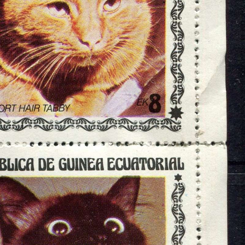 Equatorial Guinea - Miniature Sheet - Cats - MNH - Some Separation/Creasing