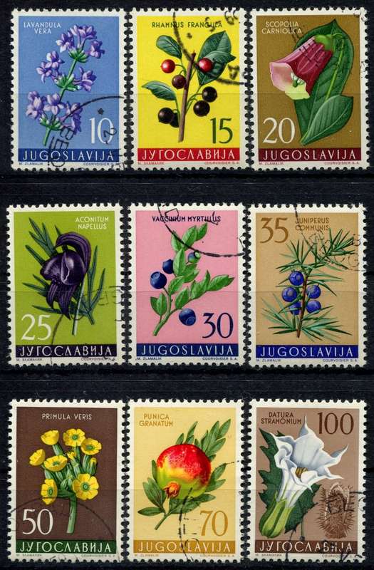 Yugoslavia - Flowers - 1959 - Used