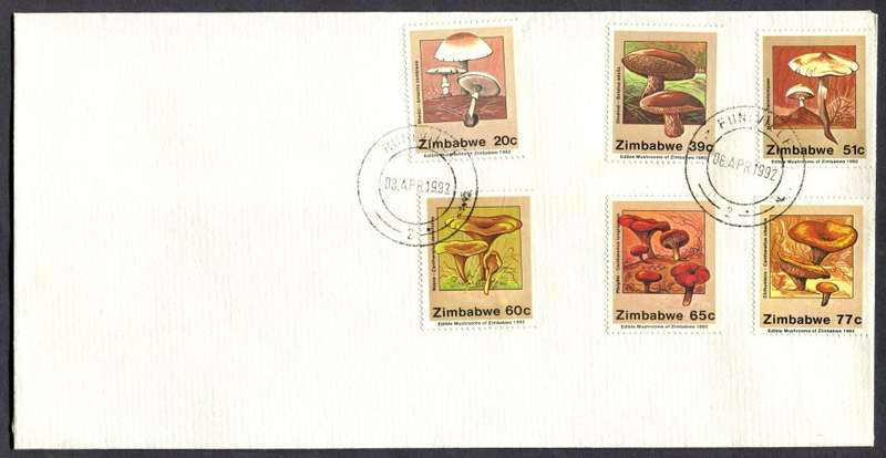 Zimbabwe - Cover