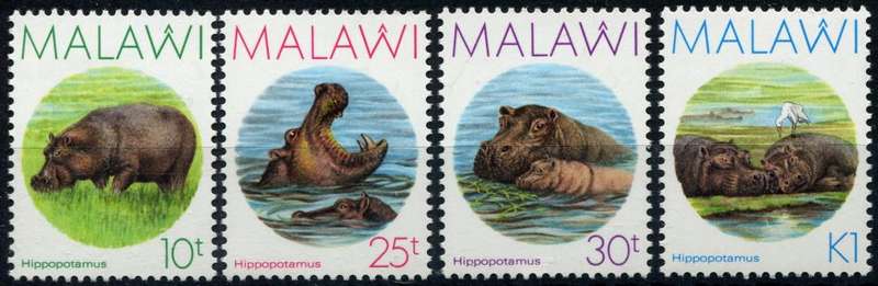 Malawi - Hippopotamus - 1987 - MNH