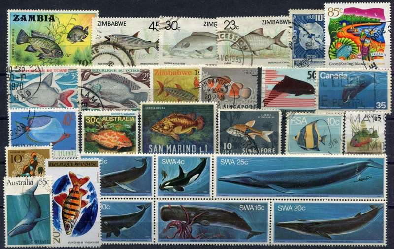 Fishes