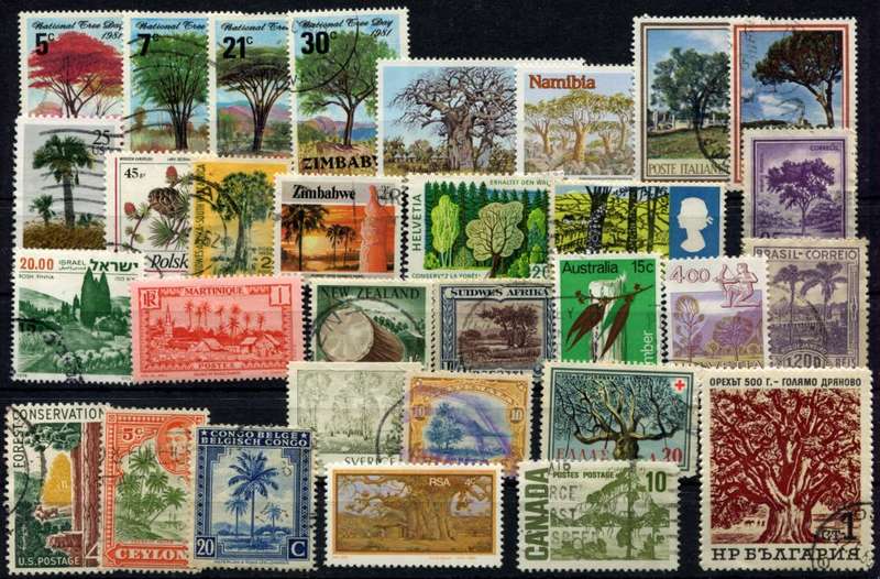 Trees