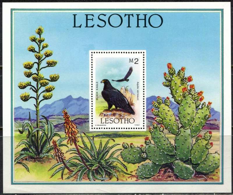 Lesotho - Birds - Miniature Sheet - 1986 - MNH