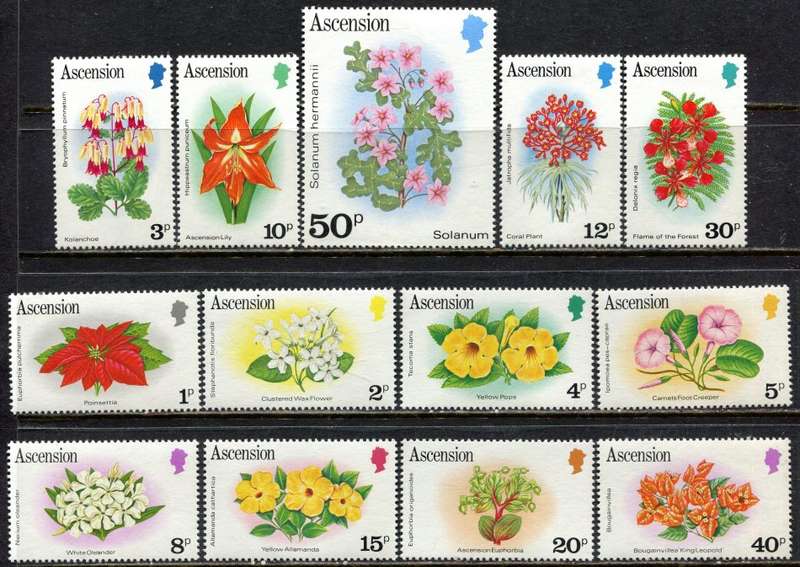 Ascension - Flowers - 1981 - MNH