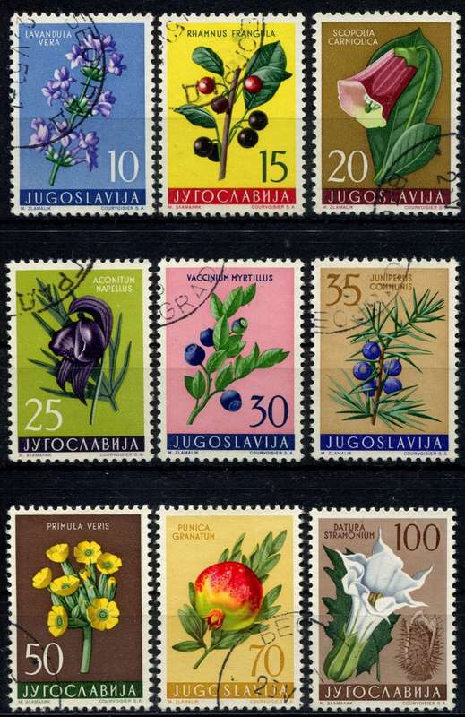 Yugoslavia - Flowers/Fruit - 1959  - Used/CTO