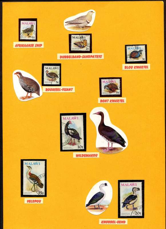 Malawi - Birds - 13 Stamps Mounted (Hinged) on 2 Old Album Pages