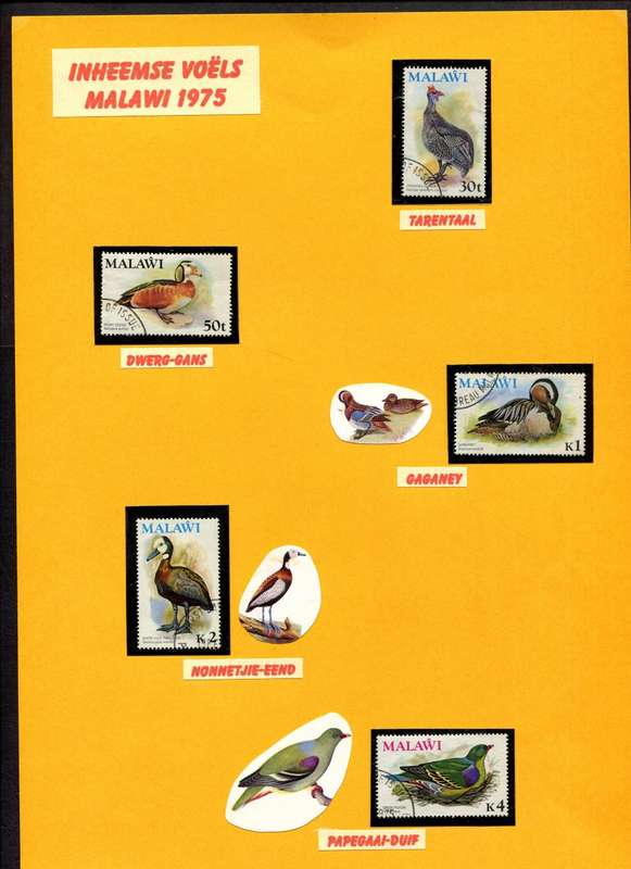 Malawi - Birds - 13 Stamps Mounted (Hinged) on 2 Old Album Pages