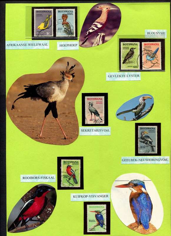 Botswana - Birds - 14 Stamps Mounted (Hinged) on 2 Old Album Pages