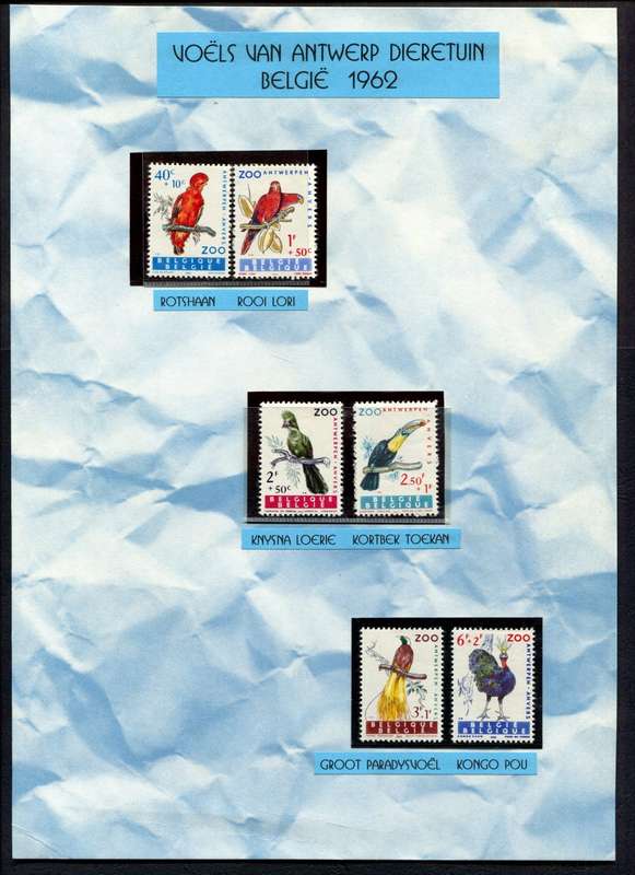 Belgium - Birds - 6 Stamps Mounted (Hinged) on Old Album Page