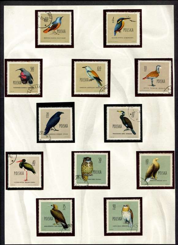 Poland - Birds - 12 Stamps Mounted (Hinged) on Old Album Page