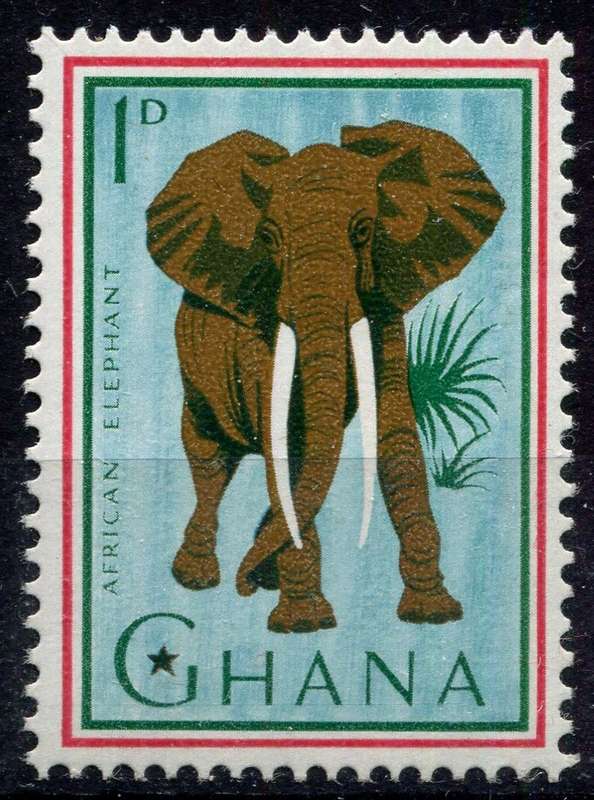 Ghana - Animals - 1964 - MNH