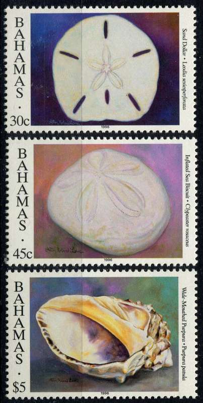 Bahamas - Shells - 1996 - MNH