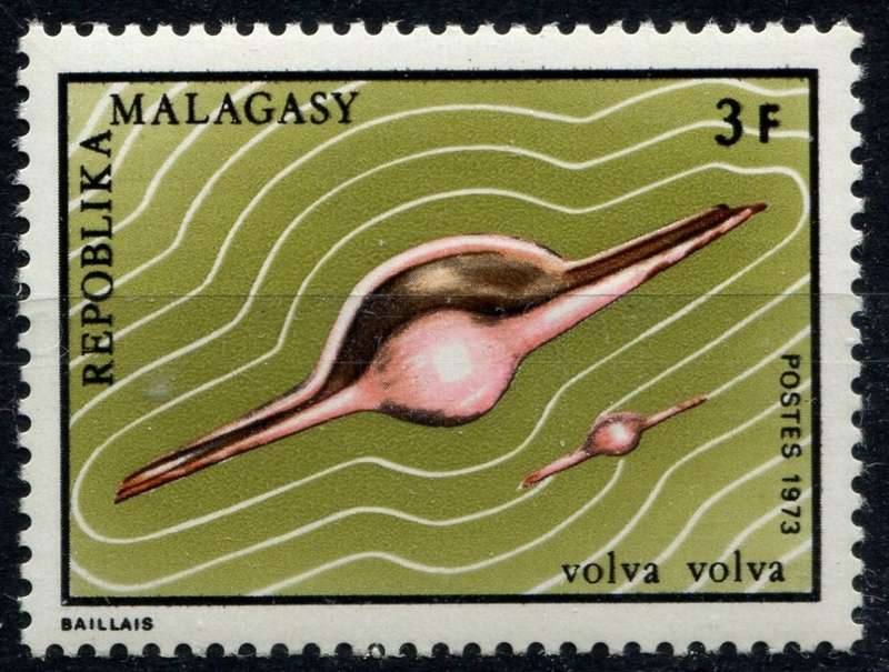 Malagasy - Shells - 1973 - MNH