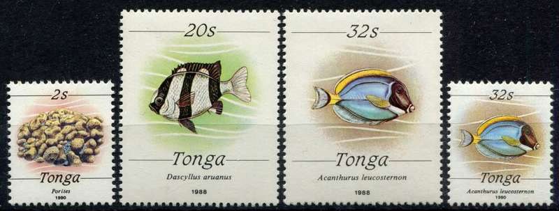 Tonga - Fish/Marine Life - 1984 - MNH