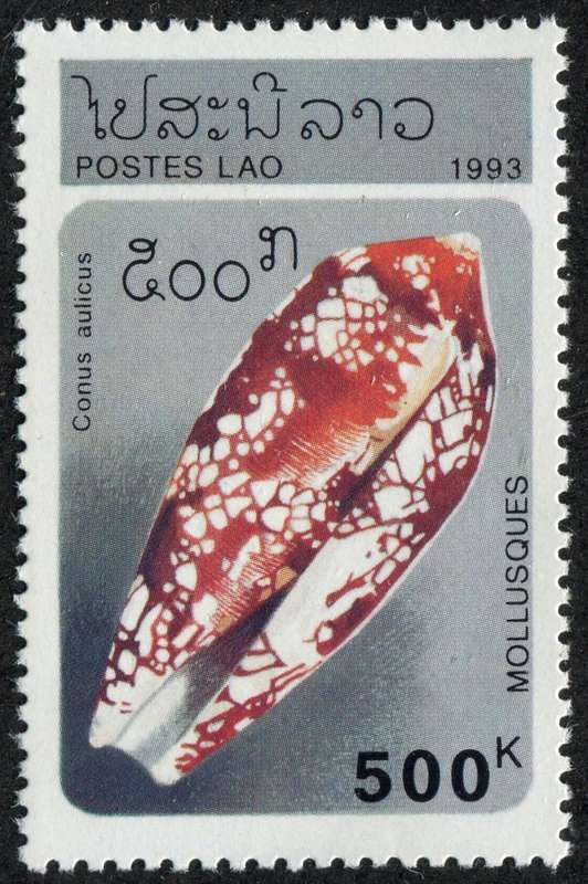 Laos - Shells - 1983 - MNH