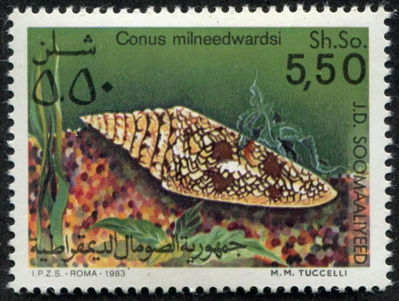 Somalia - Shells - 1983 - MNH
