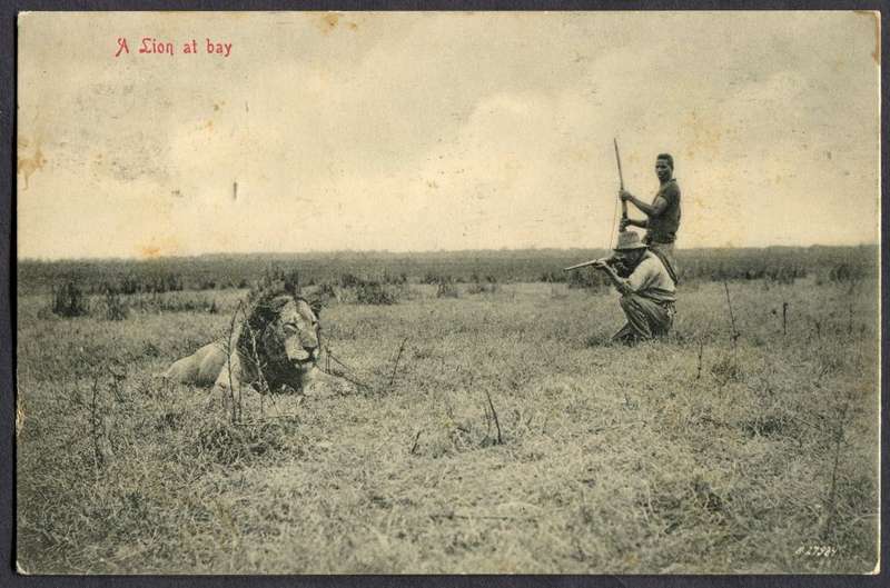 Transvaal - Post Card