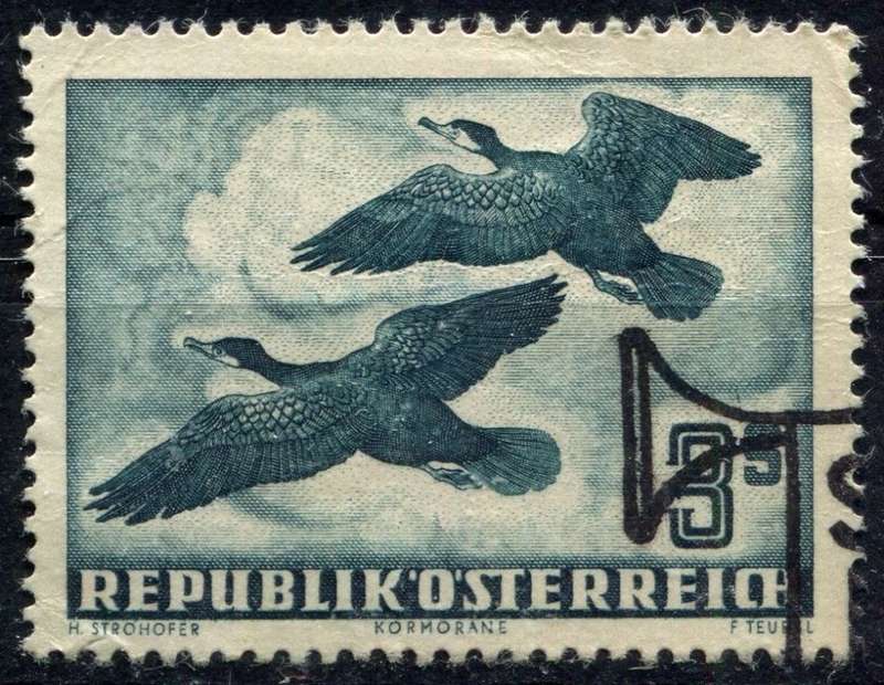 Austria - 1950 - Used