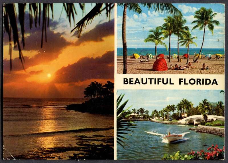 USA - Post Card