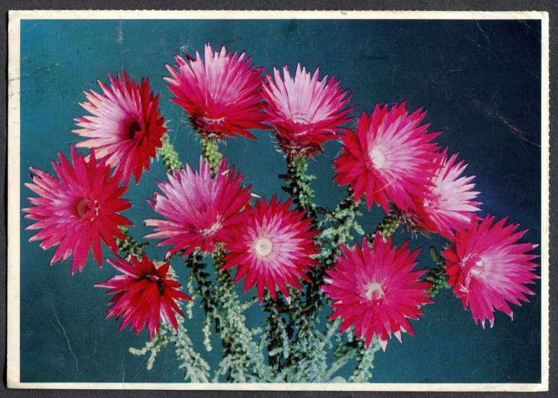 RSA - Post Card