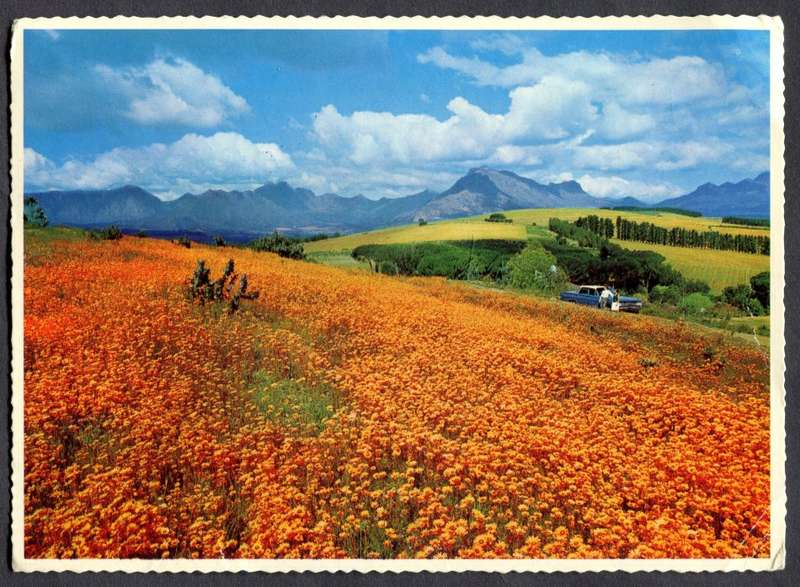 RSA - Post Card