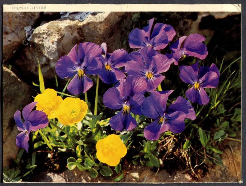RSA - Post Card