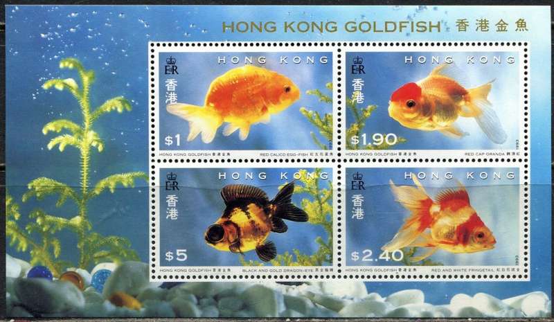 Hong Kong - Miniature Sheet - 1993 - MNH