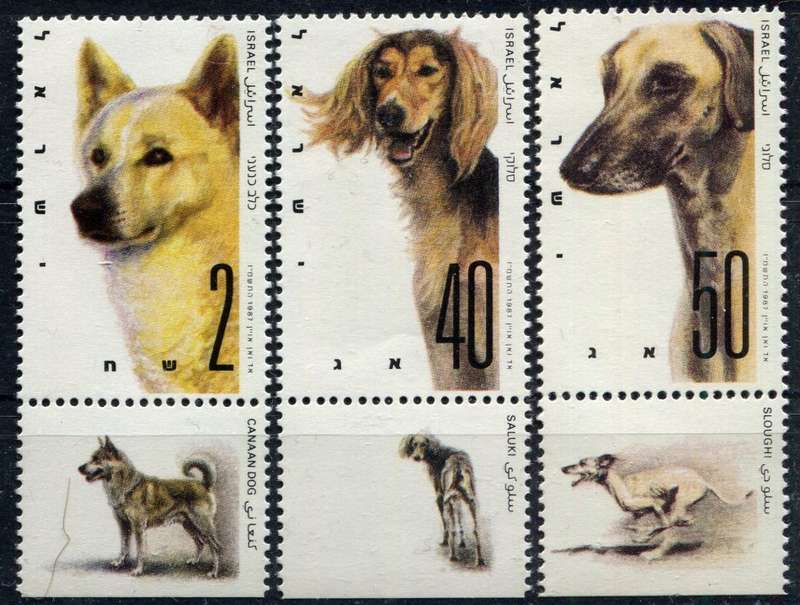 Israel - Dogs - 1987 - MMH