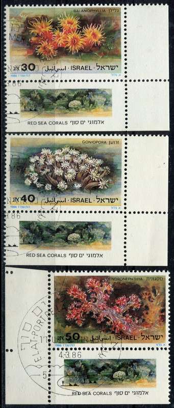 Israel - Corals - 1986 - Used(CTO)