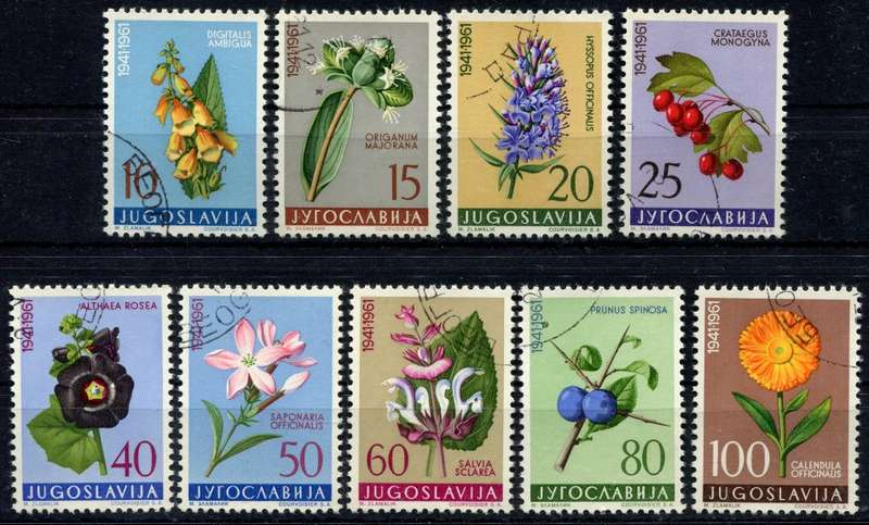 Yugoslavia - Flowers - 1961 - Used