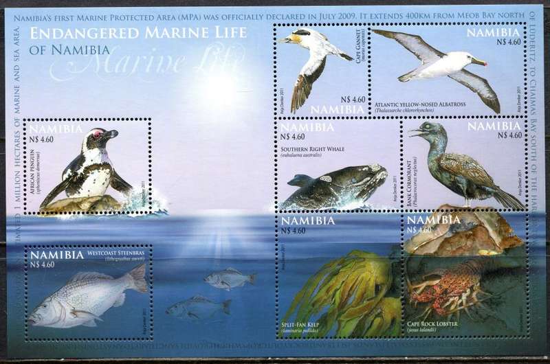 Namibia - Birds - Miniature Sheet - 2011 - MNH