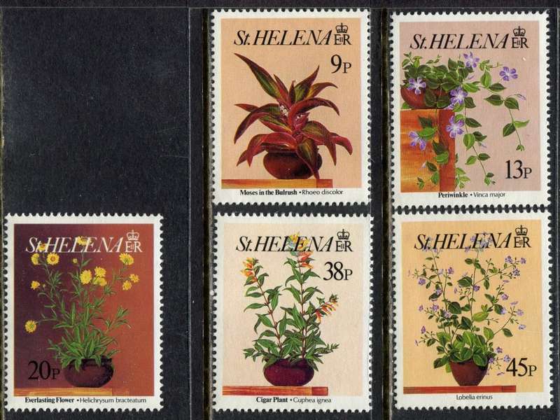 St. Helena - Flowers - 1993 - MNH