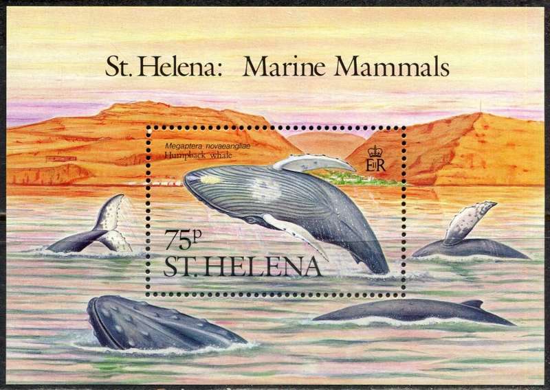 St. Helena - Whales - Miniature Sheet - 1987 - MNH