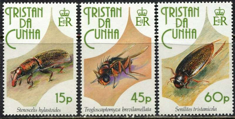Tristan Da Cunha - Insects - 1993 - MNH