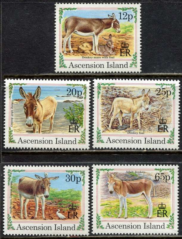 Ascension Island - Donkeys - 1994 - MNH