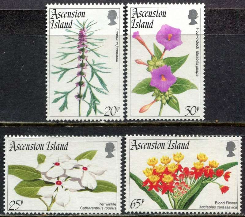Ascension Island - Flowers - 1995 - MNH
