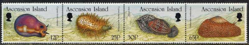 Ascension Island - Molluscs - 1996 - MNH
