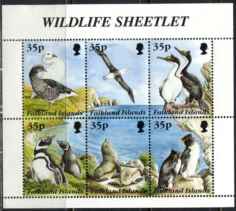 Falkland Islands - Wildlife - Miniature Sheet - 1995 - MNH