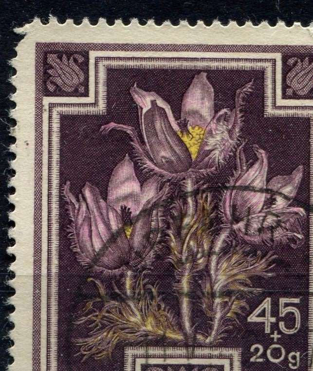 Austria - Flowers - 1948 - Used
