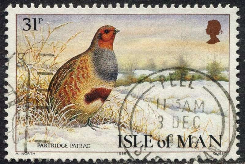 Isle of Man - Birds - 1988 - Used