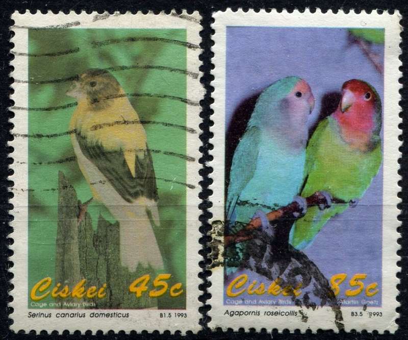 Ciskei - Birds - 1993 - Postal Used